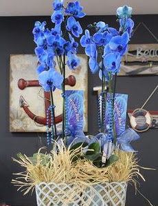 4 dall zel mavi orkide  Ankara iek siparii vermek 